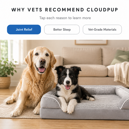 CloudPup Bolster Bed – Orthopedic Foam Support