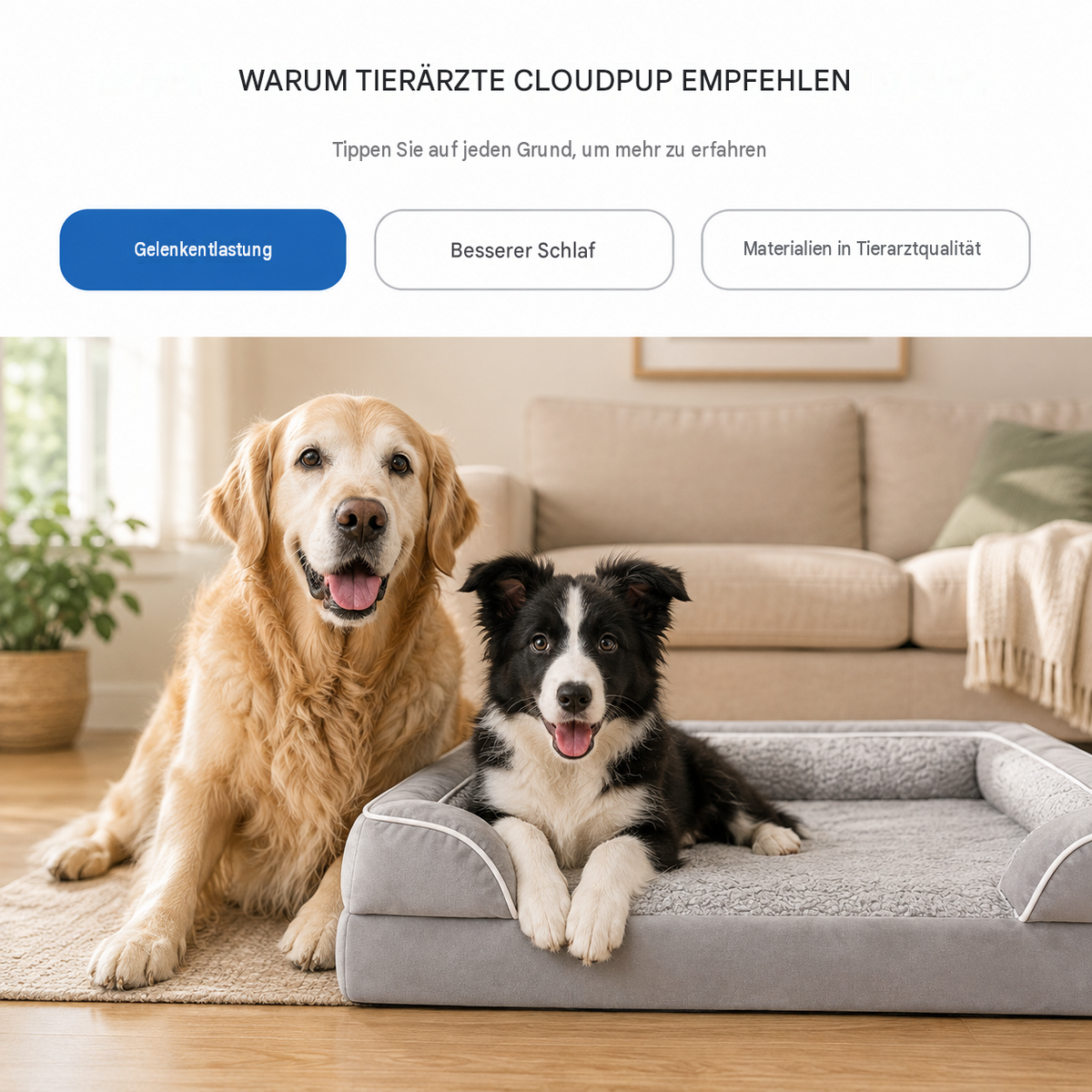 CloudPup-Bett mit Rand – Orthopädische Schaumstoffstütze