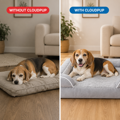 CloudPup Bolster Bed – Orthopedic Foam Support