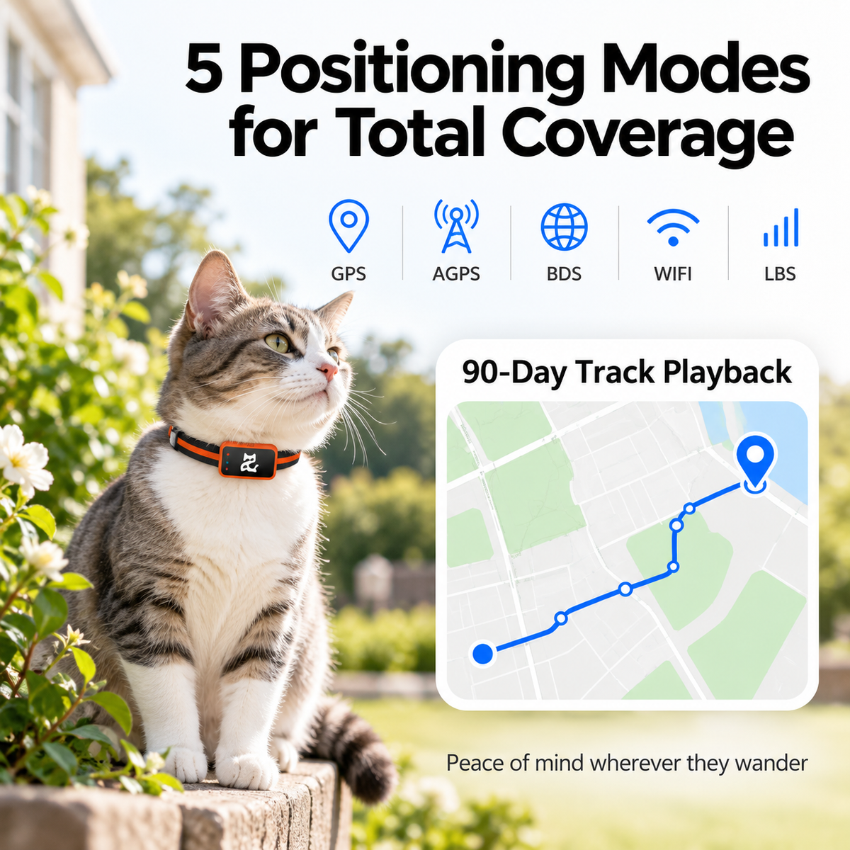 PurrTrace Mini 4G GPS Cat Tracker