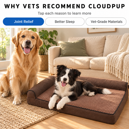 CloudPup Bolster Bed Orthopedic Foam Support