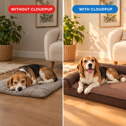 CloudPup Bolster Bed Orthopedic Foam Support