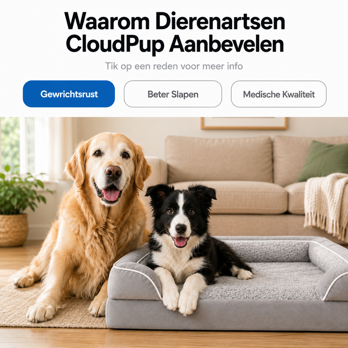 CloudPup Randkussen Mand – Orthopedische Schuimondersteuning