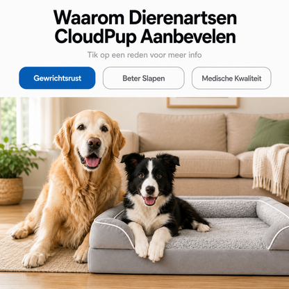 CloudPup Randkussen Mand – Orthopedische Schuimondersteuning