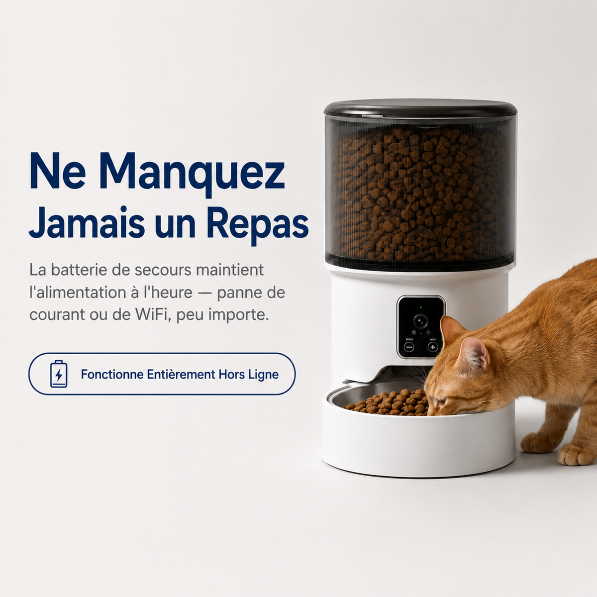 NestFeed – Distributeur Auto Intelligent