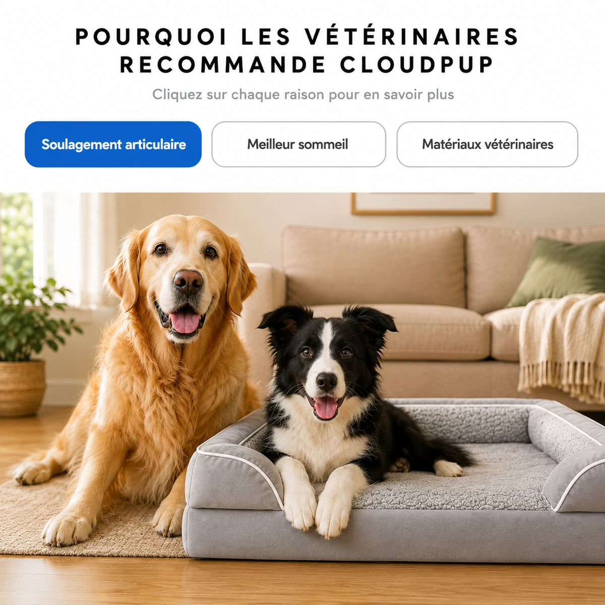 Lit à rebords CloudPup – Soutien en mousse orthopédique