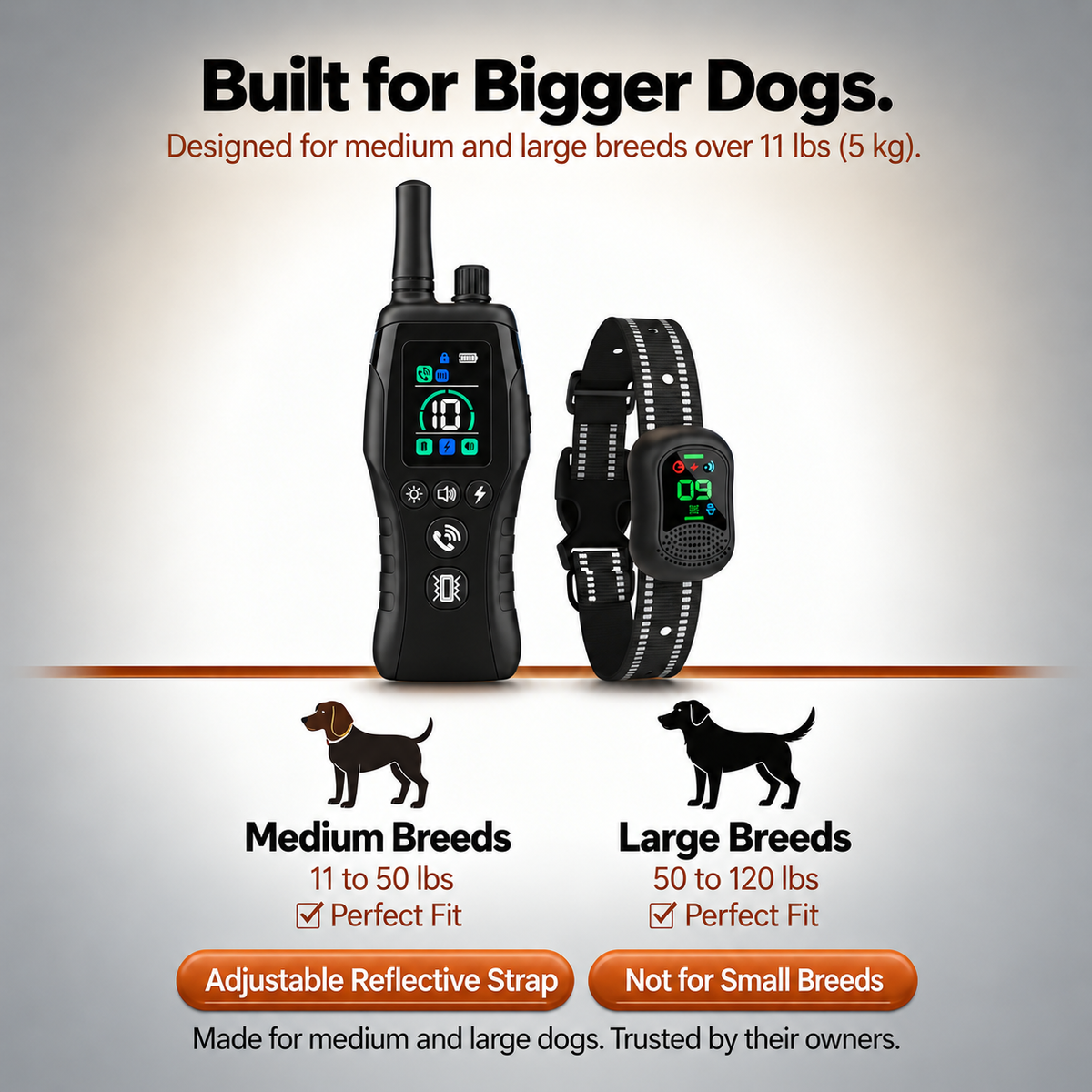 PawGuard Dog Training Collar with Remote