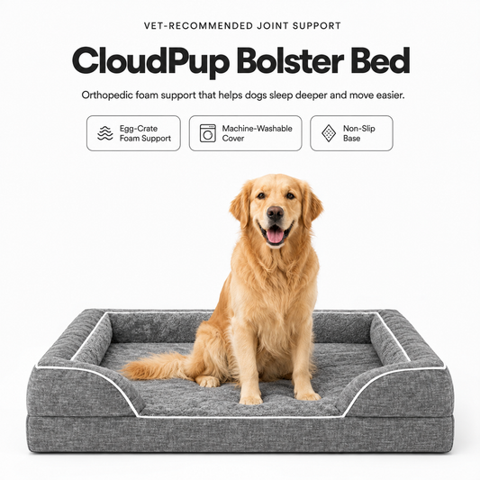 CloudPup Bolster Bed – Orthopedic Foam Support