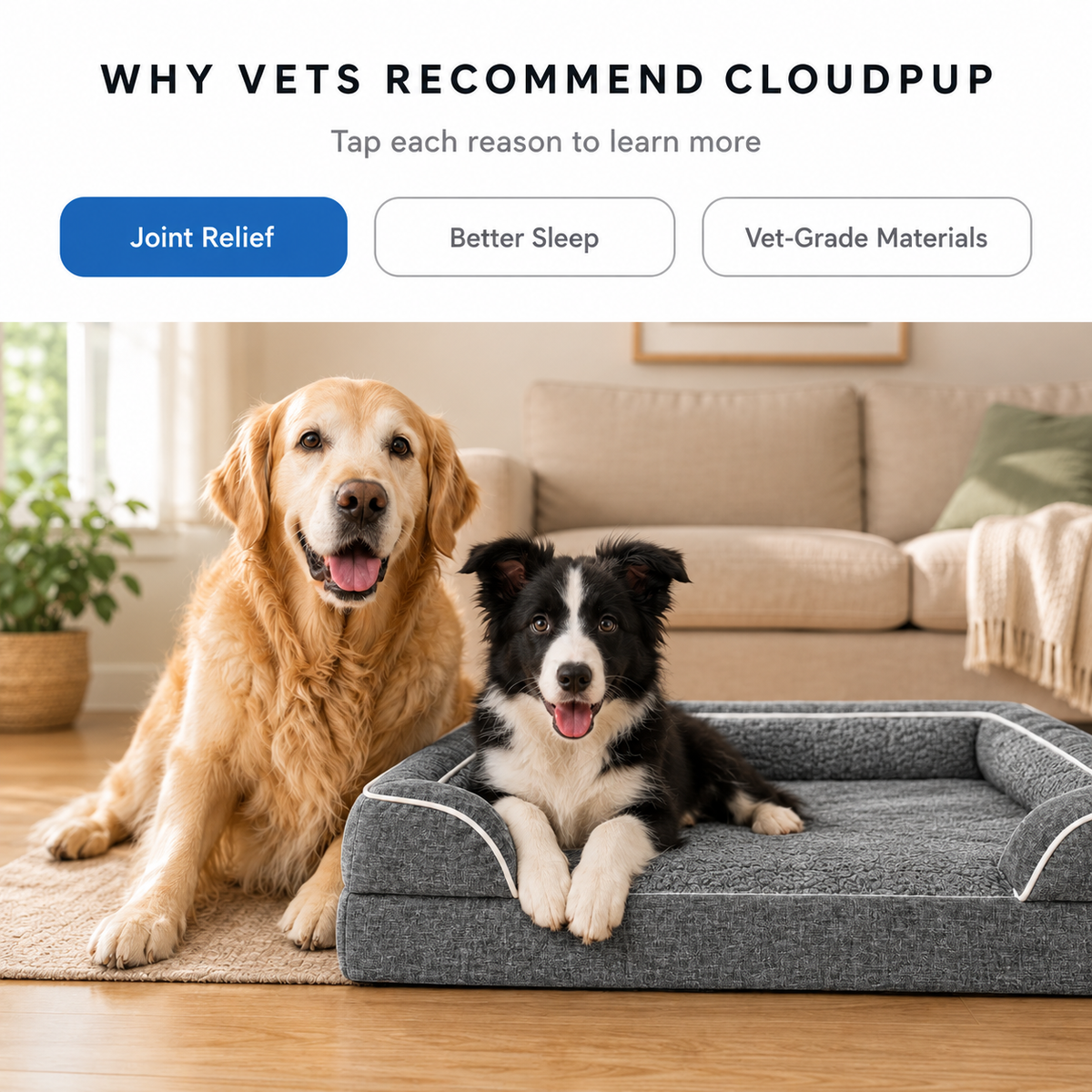 CloudPup Bolster Bed – Orthopedic Foam Support