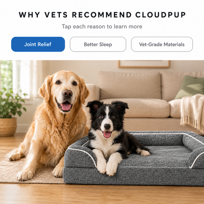 CloudPup Bolster Bed – Orthopedic Foam Support