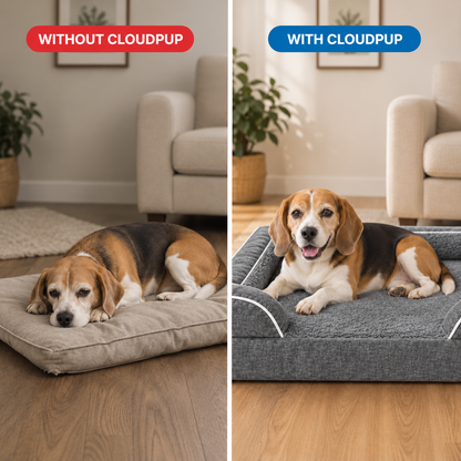 CloudPup Bolster Bed – Orthopedic Foam Support