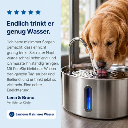 PureSip Fließender Trinkbrunnen für Hunde