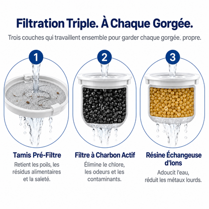 PureSip Fontaine à Eau Courante pour Chiens