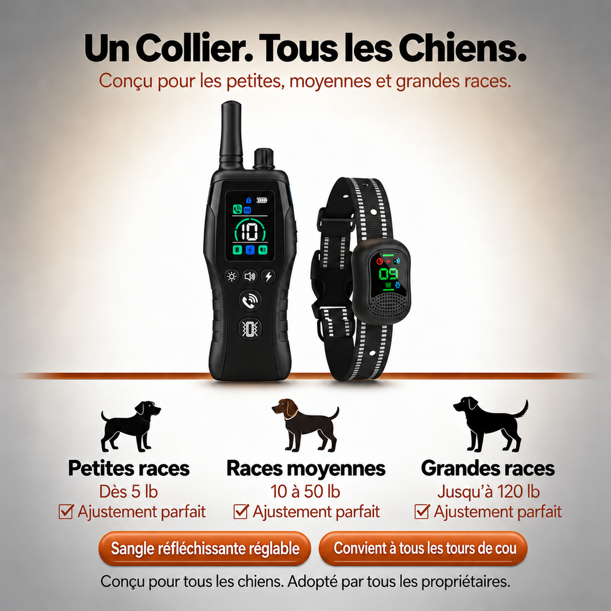 PawGuard – Collier de Dressage pour Chien avec Télécommande