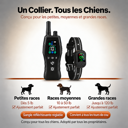 PawGuard – Collier de Dressage pour Chien avec Télécommande