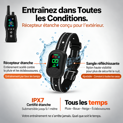PawGuard – Collier de Dressage pour Chien avec Télécommande