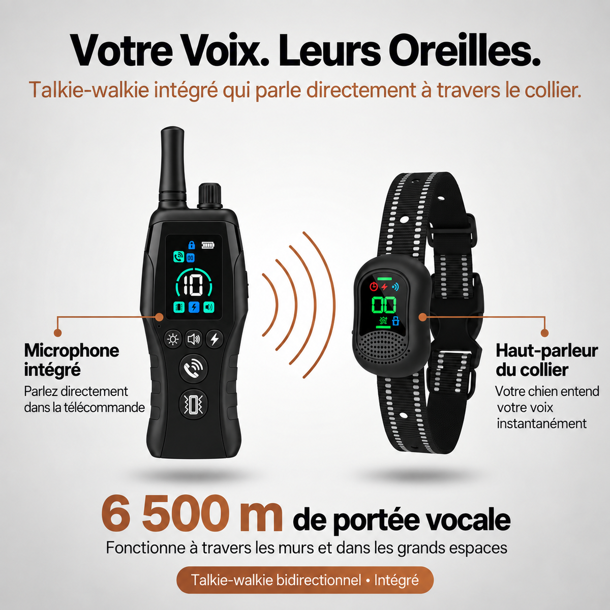 PawGuard – Collier de Dressage pour Chien avec Télécommande