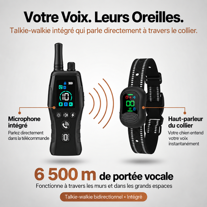 PawGuard – Collier de Dressage pour Chien avec Télécommande