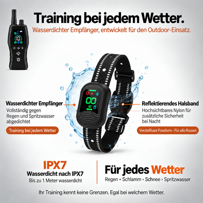 PawGuard – Hundetrainingshalsband mit Fernbedienung