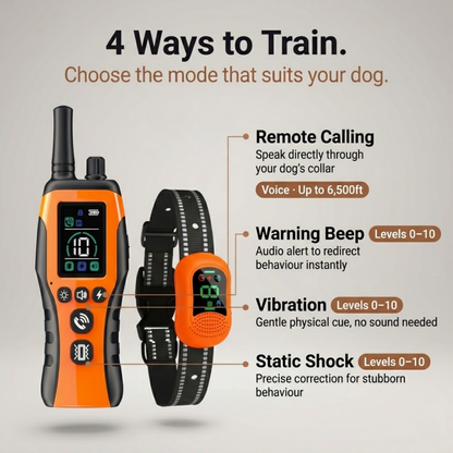 PawGuard Dog Training Collar with Remote