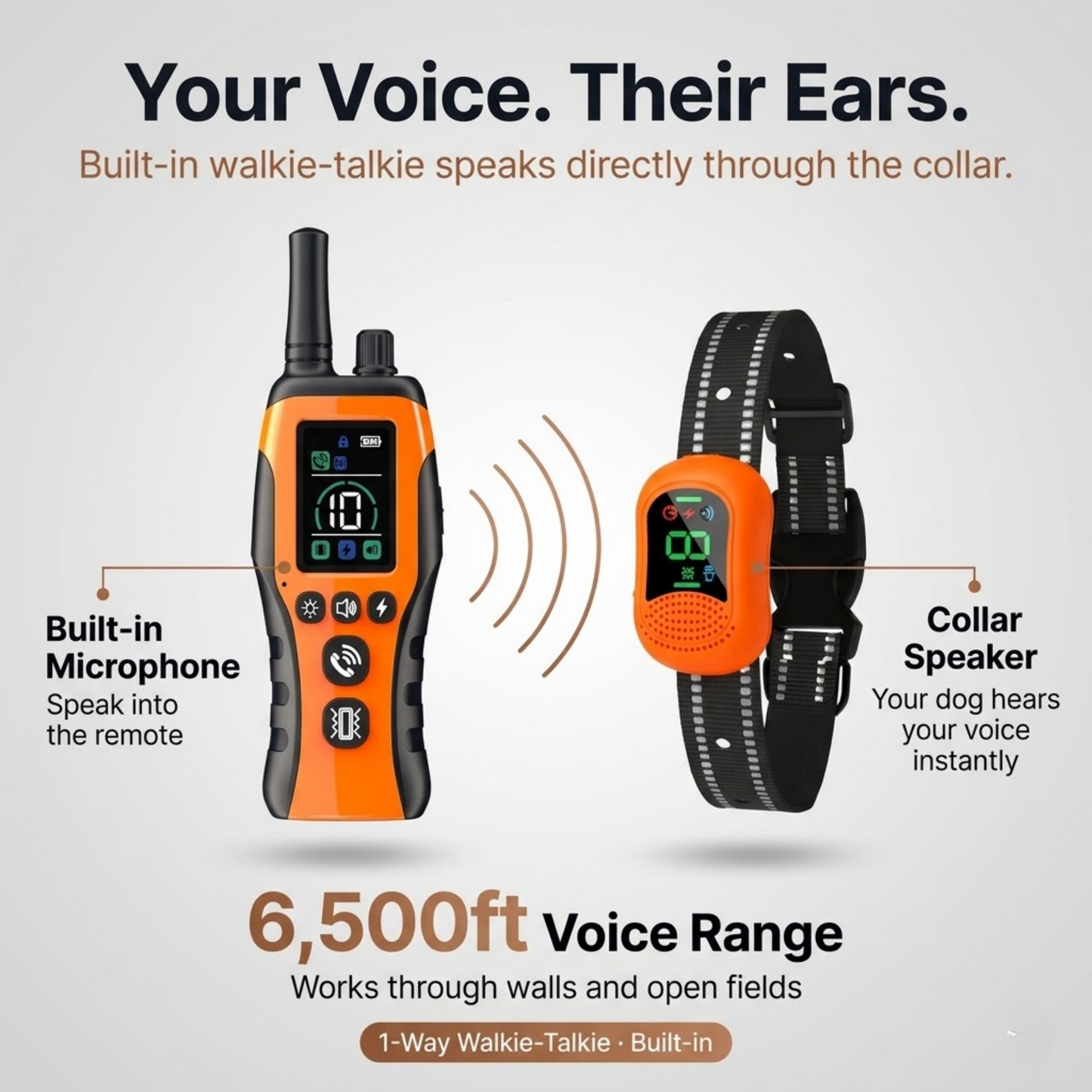 PawGuard Dog Training Collar with Remote