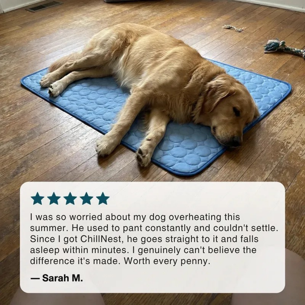 A golden retriever dog lies on a blue quilted cooling mat on a hardwood floor, with a customer review text box overlaid at the bottom.