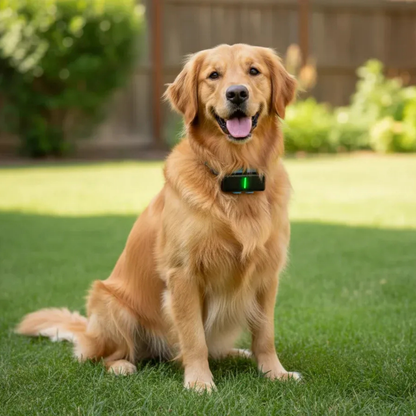TailTag GPS Pet Tracker | Real-Time 4G with IP68 rating