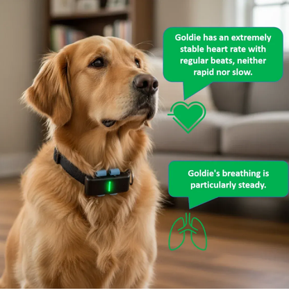 TailTag GPS Pet Tracker | Real-Time 4G with IP68 rating