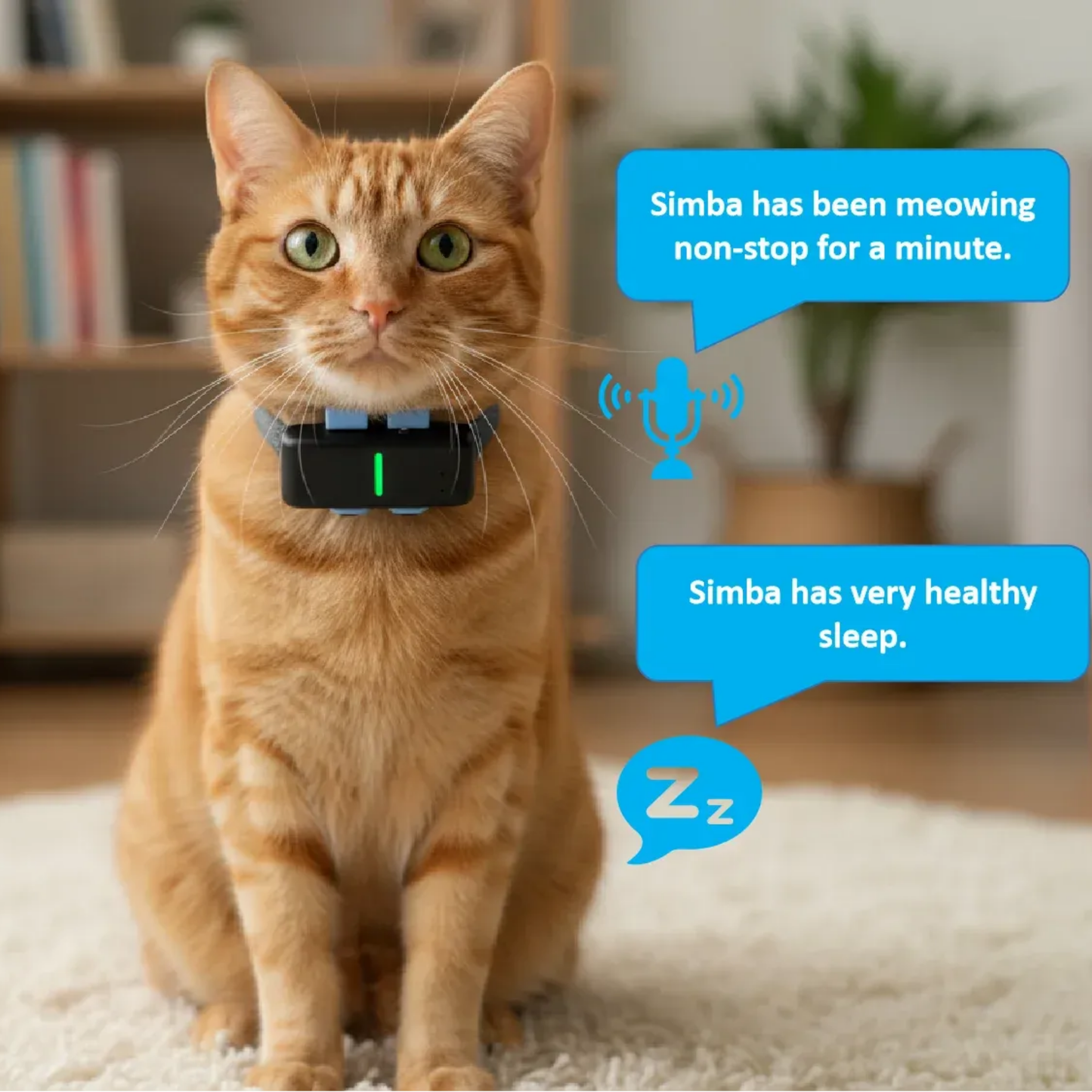 TailTag GPS Pet Tracker | Real-Time 4G with IP68 rating