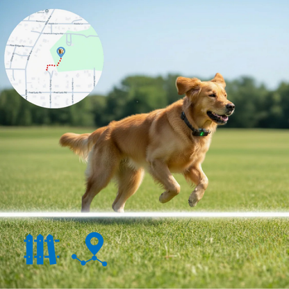 TailTag GPS Pet Tracker | Real-Time 4G with IP68 rating