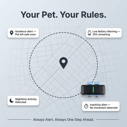 TailTag GPS Pet Tracker | Real-Time 4G with IP68 rating