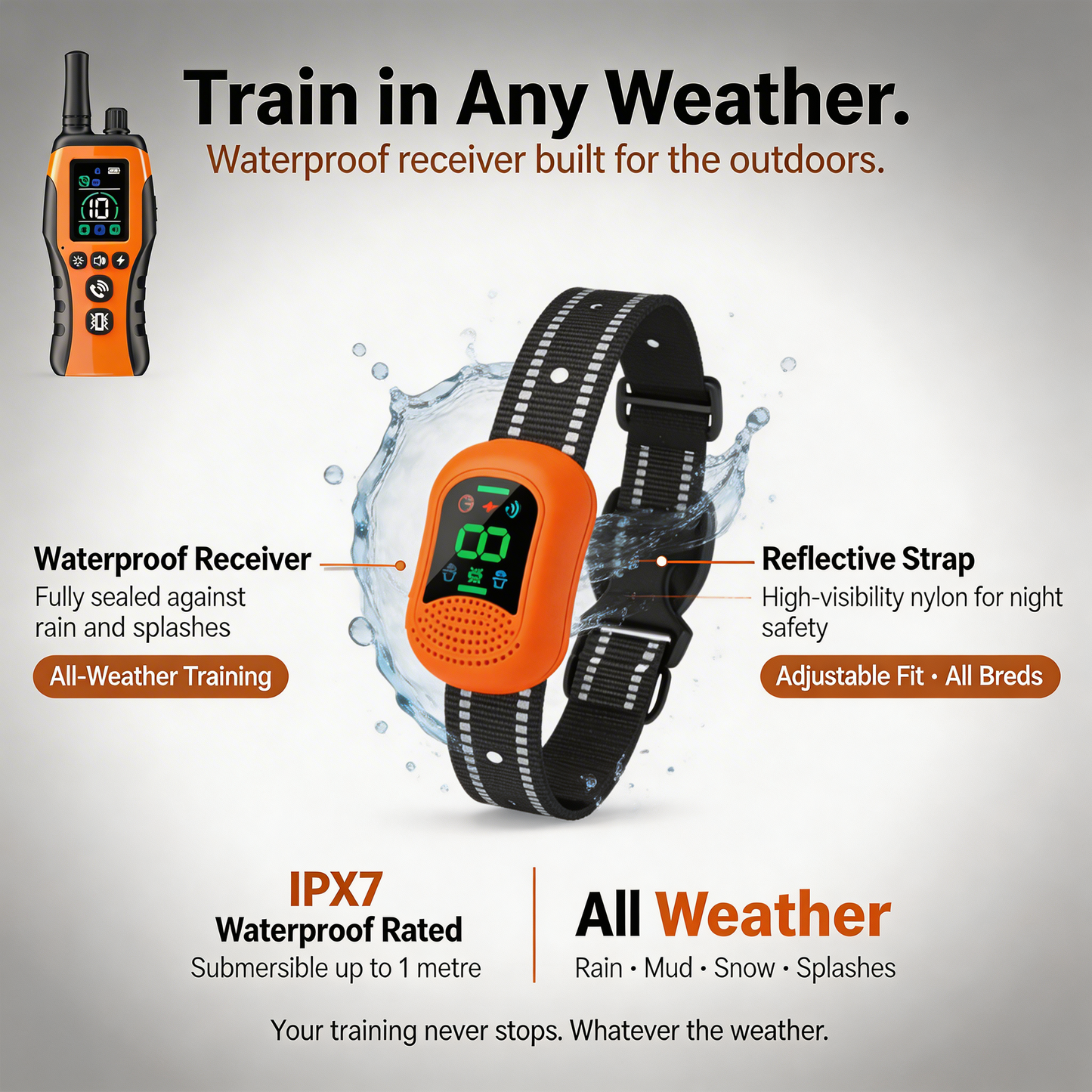 PawGuard Dog Training Collar with Remote