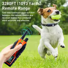 PawGuard Dog Training Collar with Remote – Shock & Vibration
